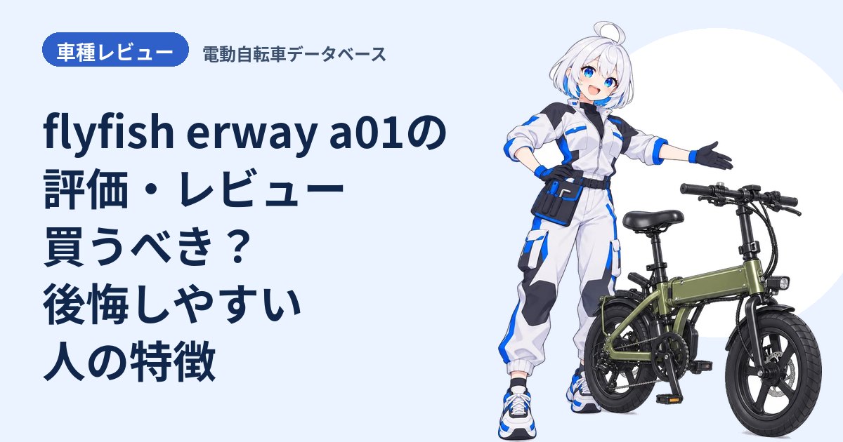 flyfish erway a01の評価・レビュー 買うべき？後悔しやすい人の特徴